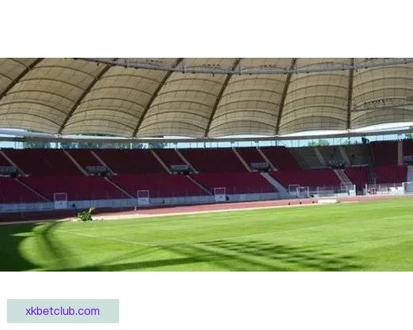 2026世界杯主办城市聚焦下的全球足球盛宴全景解析