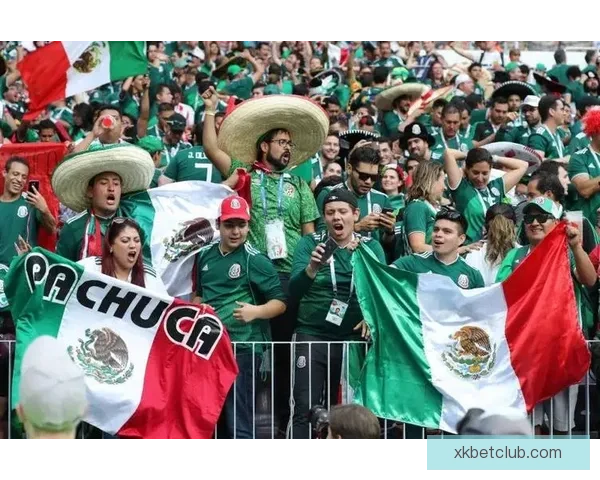 美加墨世界杯赛场精彩瞬观全球足球盛事盛况与激情碰撞