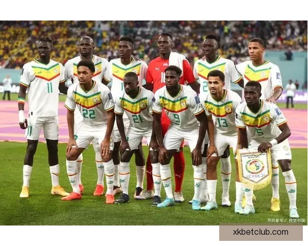 世界杯赛场前瞻专家深度解析热门球队胜负走势